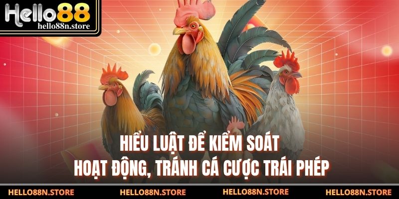 Hiểu luật để kiểm soát hoạt động, tránh cá cược trái phép